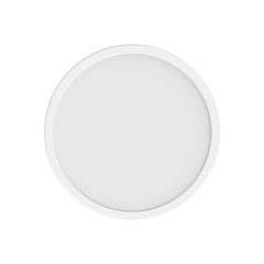 Xiaomi小米 D40 吸頂燈 | 智能照明 香港行貨